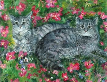 Cat Pet Portrait