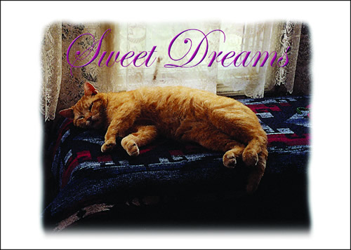 "Sweet Dreams" Greeting Card "Sweet Dreams" Greeting Card
